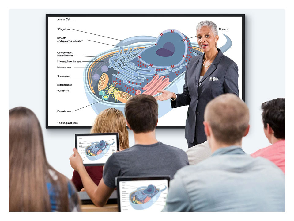 Màn Hình Hiển Thị Chuyên Dụng Và TV Thông Thường - Đâu Là Lựa Chọn Tối Ưu Cho Giáo Dục?